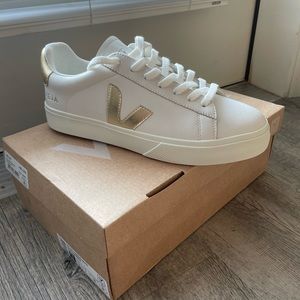 VEJA Dupes!